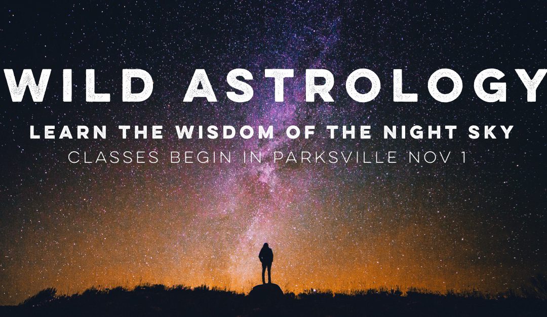 Wild Astrology – A Beginning Astrology Class in Oceanside