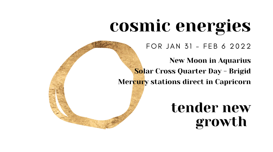 New Moon in Aquarius – Tender New Growth